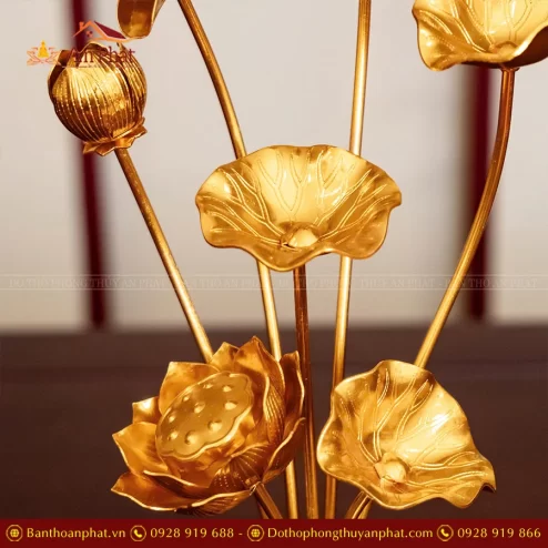 Hoa sen càng vàng cao cấp