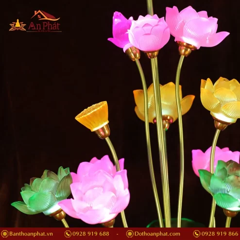 Bông nhiều màu