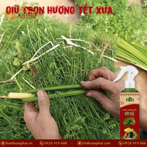 nuoc lau ban tho mui gia hut tai loc pk9532 4