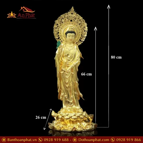 tuong quan am bang dong dat vang cao cap nhap khau dang dung t257400001