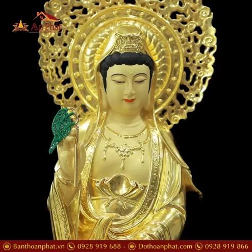 tuong quan am bang dong dat vang cao cap nhap khau dang dung t257400004