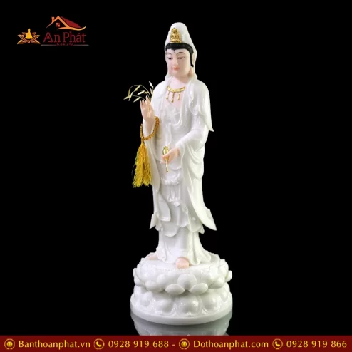 tuong quan am bo tat bot da cao cap dang dung t257200007